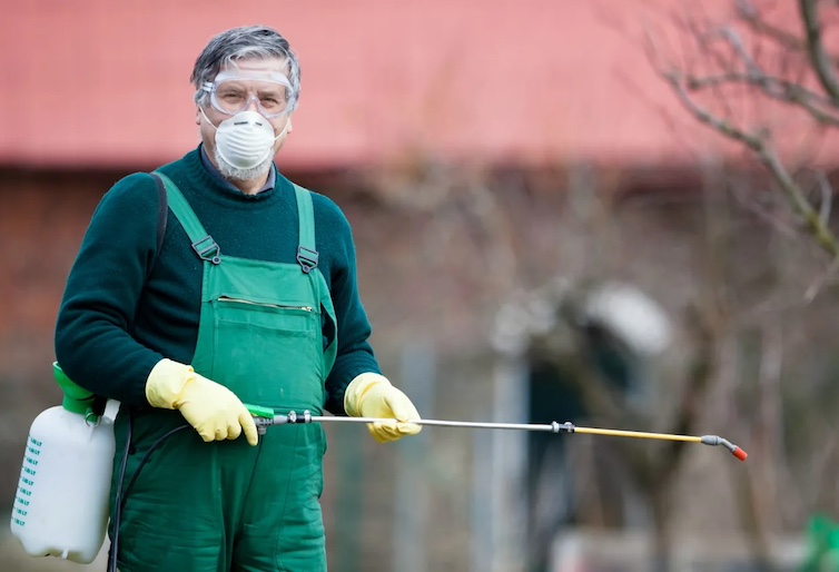 Pregnant woman exposed to pesticides exposed to greater mental health risks for their offspring, new study finds.