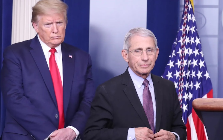 Rand Paul warns Trump's DOJ protecting Fauci from prosecution.