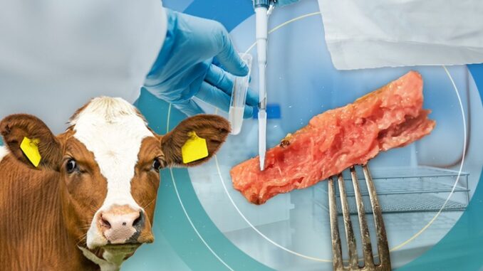 WEF calls for brainwashing of masses to force-feed them lab-grown meat.