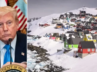 Trump greenland