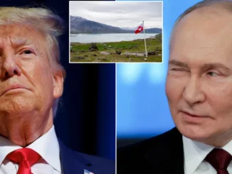 Trump Putin Greenland