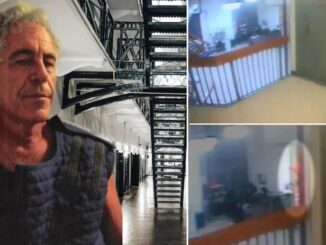 Mysterious figure spotted outside Epstein's cell moments before his death, DOJ files reveal.