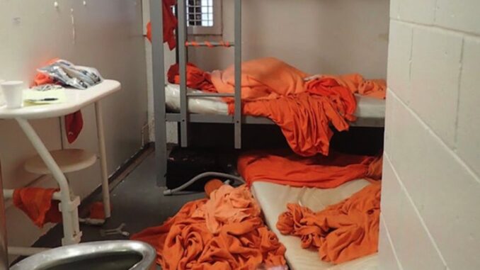 A bombshell document from the latest DOJ Epstein file release (DataSet 9, EFTA00064309) describes how an FBI agent deliberately removed the hard drives from the Metropolitan Correctional Center’s (MCC) video recording system — fully aware that doing so would permanently erase all footage from the night Jeffrey Epstein died.