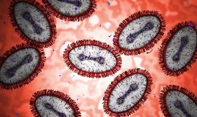 Congress to limit use of DNA pathogen pandemic creation.