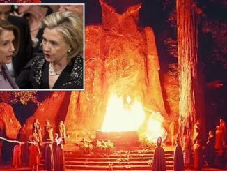 Bohemian Grove's illuminati list leaked online.