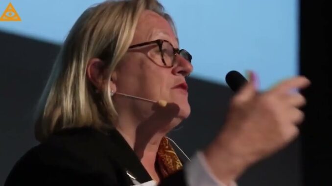 Catherine Austin Fitts warns economic Tsunami coming via 'demonic' Rothschild's programmable money.