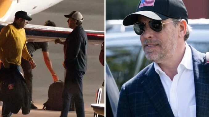 Hunter Biden flees America after elite pedo ring investigation intensifies.