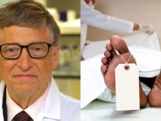 Gates scientists to grow brainless humans to serve as slaves for elites.