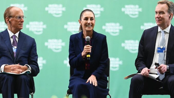 Mexico introduces mandatory digital IDs for all citizens.