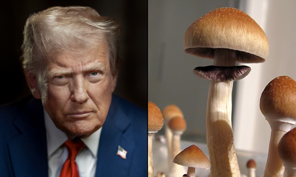 Trump Loosens Restrictions on Psychedelics in Bid to Fix America’s ‘Mental Health Crisis’