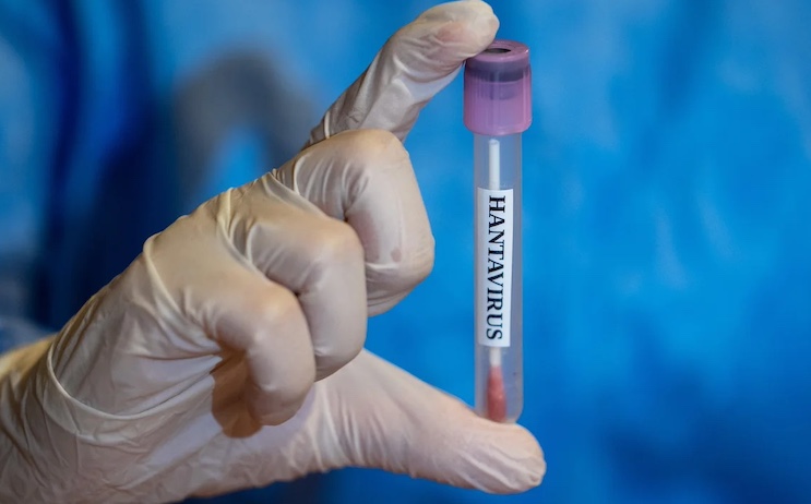 Hantavirus genome was build by U.S. military using human blood.