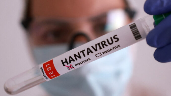 hantavirsu