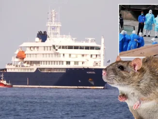 HANTAVIRUS