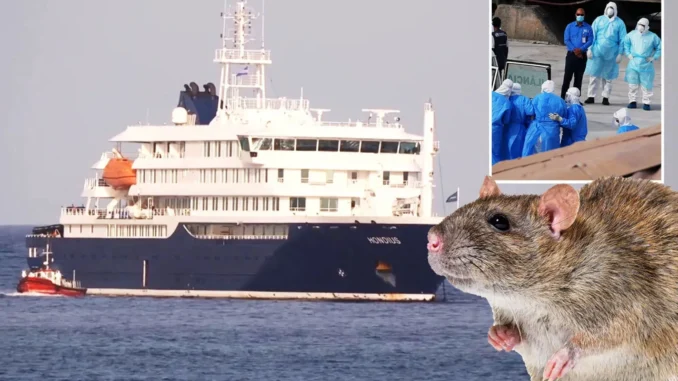 HANTAVIRUS