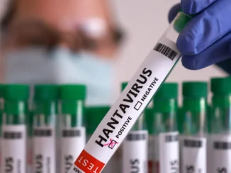 hantavirsu test