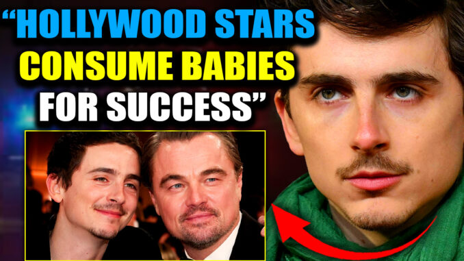 In Hollywood, there's the public story and the real story. Timothée Chalamet just accidentally exposed the real one... and there's no going back.